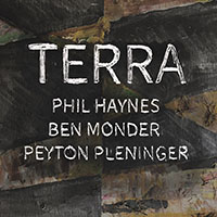 Phil Haynes, Ben Monder, Peyton Pleninger - Terra