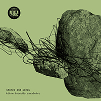 Almut Kühne / João Pedro Brandão / Marcos Cavaleiro - Stones and Seeds
