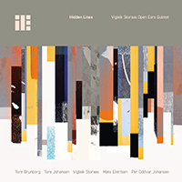 Vigleik Storaas - Hidden Lines