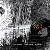 Liudas Mockūnas, Samuel Blaser, Marc Ducret - Twisted Summer