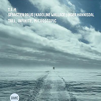 T.I.M (PALIS/WALLACE/HANNISDAL) - Tall, Infinite, Microspopic