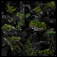 The Selva - Mistérios Negros