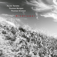 Ayumi Tanaka/Thomas Morgan/Thomas Strønen - Windflower