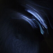 Le dossier Intervalles du mois – Janvier : L’année 2025 en mode rétrospective des Intervalles