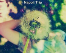 Stefano Bollani, Napoli Trip