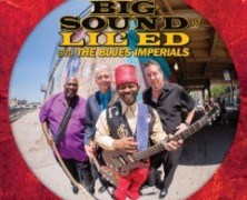 Lil’ Ed & The Blues Imperials, The Big Sound of