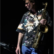 Focus : Jeroen Van Herzeele & Stéphane Galland, L’An Vert (Liège 04/04/26)