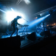 Chaton Laveur au Godifest (Godinne 08/05/26)