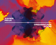 Xavier Reija : Dreamscape Room