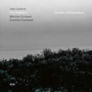 Joe Lovano Trio Tapestry : Garden of expression