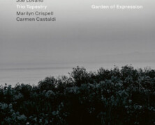 Joe Lovano Trio Tapestry : Garden of expression