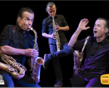 Guillaume Orti solo au Jacques Pelzer Jazz Club (Liège 22/05/26)