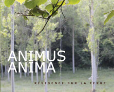 Animus Anima, Résidence sur la terre