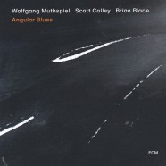 Wolfgang Muthspiel Trio, Angular Blues