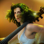 Louise Knobil : Hors codes