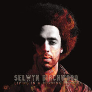 Selwyn Birchwood : Living in a Burning House