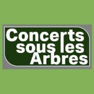Focus : Festival Concerts sous les arbres – Houyet du 17 au 19/07/26