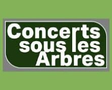 Focus : Festival Concerts sous les arbres – Houyet du 17 au 19/07/26