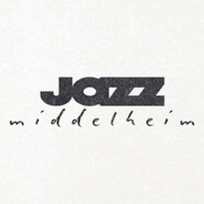 Jazz Middelheim 2025 : un retour attendu !