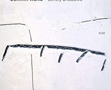 Dominik Wania : Lonely Shadows