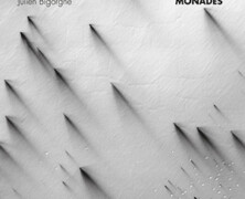 Julien Bigorgne : Monades