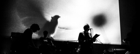 Oiseaux-tempête, maintenant.