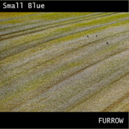 Small Blue : Furrow
