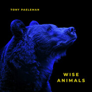 Tony Paeleman : Wise Animals