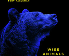 Tony Paeleman : Wise Animals