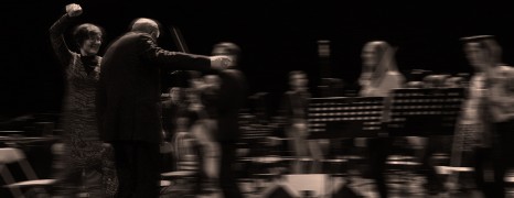 Orchestra Vivo, le tout est plus grand (1)