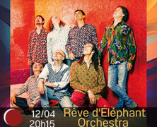 Focus : Rêve d’éléphant Orchestra au Foyer culturel de Sprimont (12/04/24)
