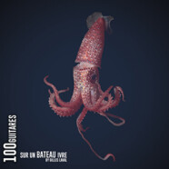 Gilles Laval : 100 Guitares sur un Bateau Ivre