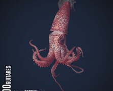 Gilles Laval : 100 Guitares sur un Bateau Ivre