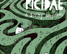 Picidae : A Stray Labyrinth