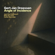 Gert-Jan Dreessen : Angle of Incidence