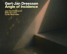 Gert-Jan Dreessen : Angle of Incidence