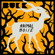 Buck : Animal Boisé