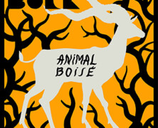 Buck : Animal Boisé