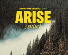 Amaury Faye Ensemble : Arise (suite)