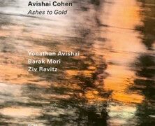 Avishai Cohen : Ashes to Gold