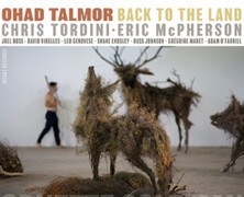 Ohad Talmor : Back To The Land