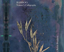 Belén Bandera : Bamboo, Nature’s Calligraphy