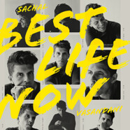 Sachal Vasandani : Best Life Now
