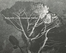 Roeland Celis : Celestial Planes