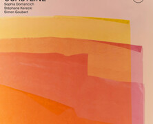 Matthieu Donarier : Coastline