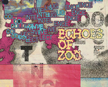 Echoes of Zoo : Collective Intelligence