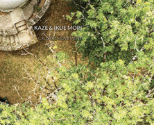 Kaze & Ikue Mori : Crustal Movement