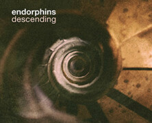 Endorphins : Descending