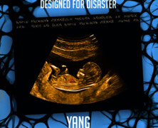 Yang : Designed for Disaster