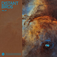 Distant Birds : Vol. 01 & Vol. 02